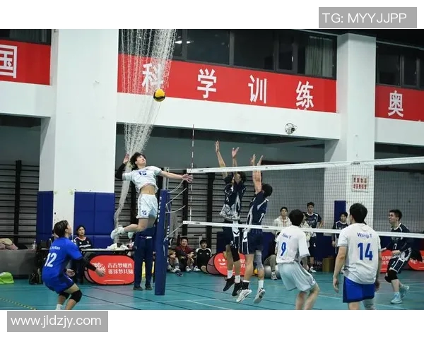 广州排球队现状分析与未来展望聚焦排球运动的热情与挑战