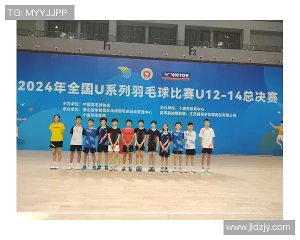 羽毛球意识排行榜揭晓南京羽毛球队荣登第五名引发关注