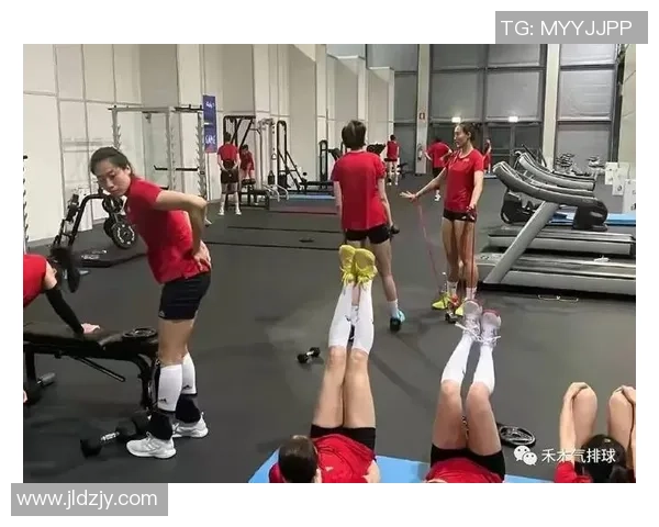 科学排球：力量训练方法