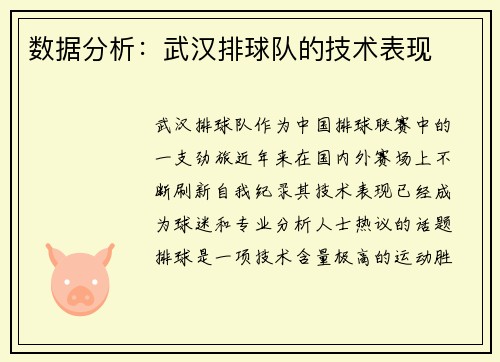 数据分析：武汉排球队的技术表现