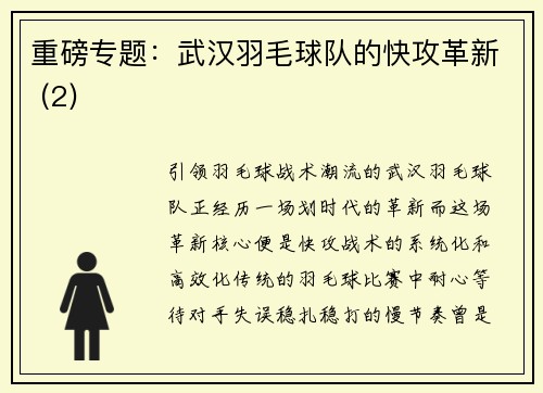 重磅专题：武汉羽毛球队的快攻革新 (2)